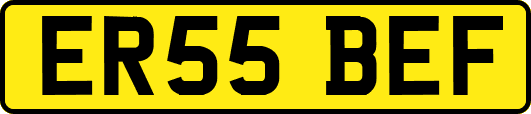 ER55BEF