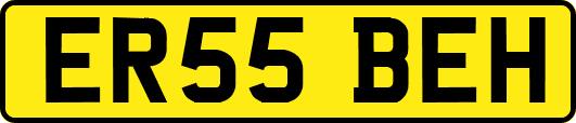 ER55BEH