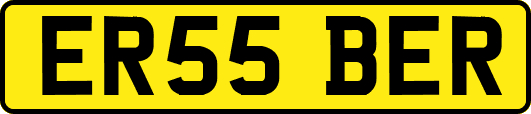 ER55BER