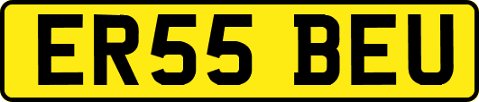 ER55BEU