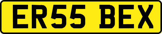 ER55BEX