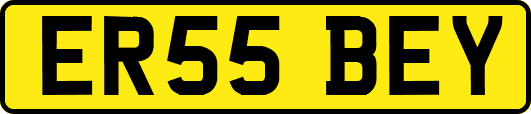 ER55BEY