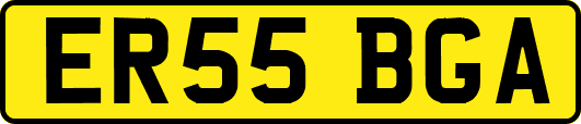 ER55BGA