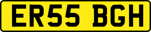 ER55BGH