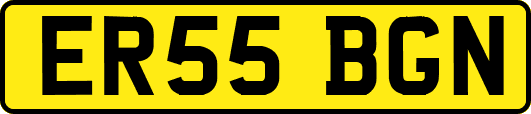 ER55BGN