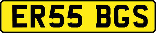 ER55BGS