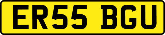 ER55BGU