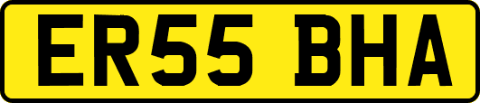 ER55BHA