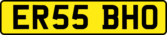 ER55BHO