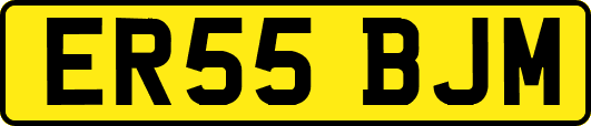 ER55BJM