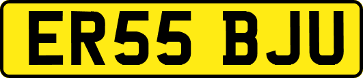 ER55BJU