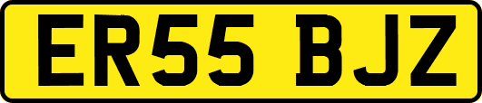 ER55BJZ
