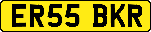 ER55BKR