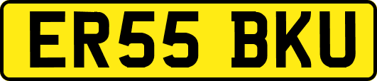 ER55BKU