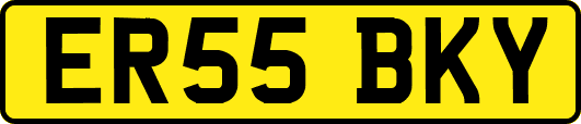 ER55BKY