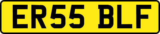 ER55BLF