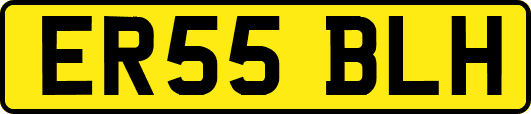 ER55BLH