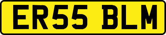 ER55BLM
