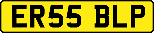ER55BLP