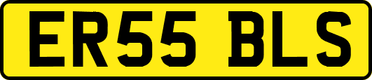 ER55BLS