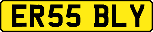 ER55BLY