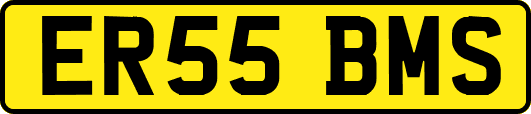 ER55BMS