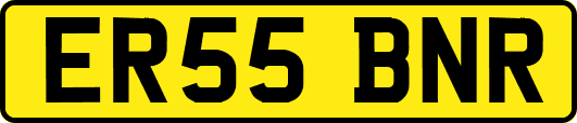 ER55BNR