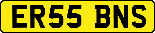 ER55BNS