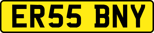 ER55BNY