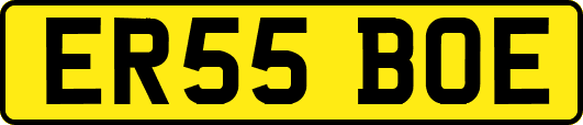 ER55BOE
