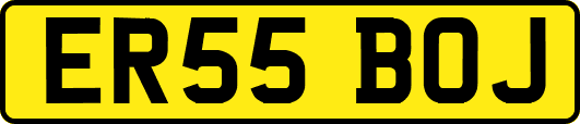 ER55BOJ