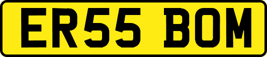 ER55BOM
