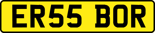 ER55BOR