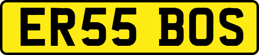 ER55BOS