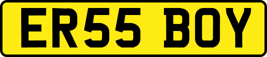 ER55BOY