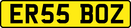 ER55BOZ