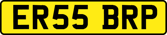 ER55BRP