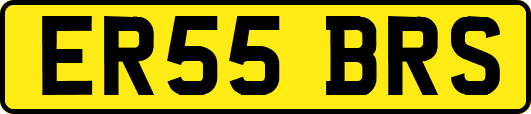 ER55BRS