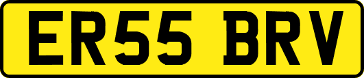 ER55BRV