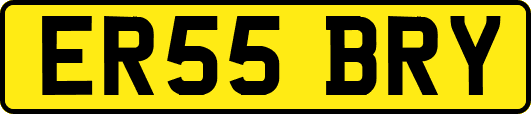 ER55BRY