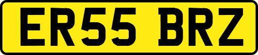 ER55BRZ