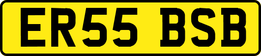 ER55BSB