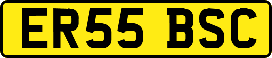 ER55BSC