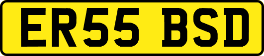 ER55BSD