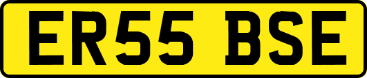 ER55BSE