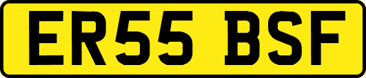ER55BSF