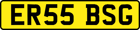 ER55BSG