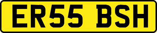 ER55BSH