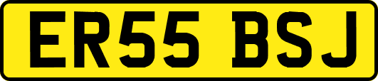 ER55BSJ