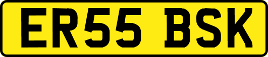 ER55BSK
